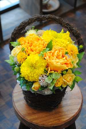 Arrange Sample Arrange Sample