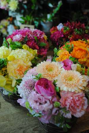 Arrange Sample Arrange Sample