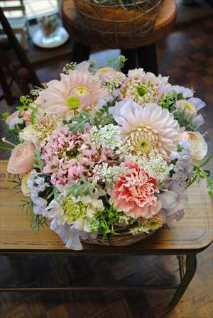 Arrange Sample Arrange Sample