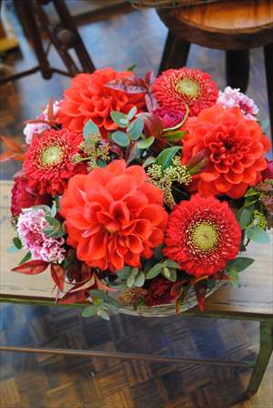 Arrange Sample Arrange Sample