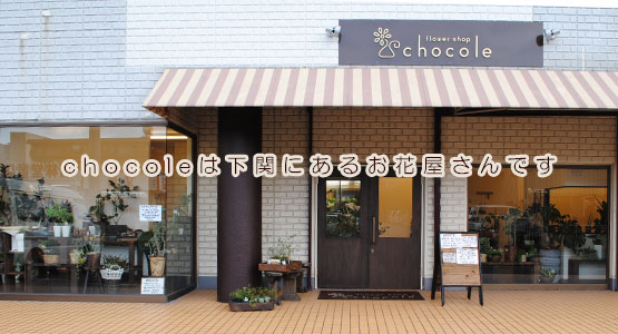 chocole